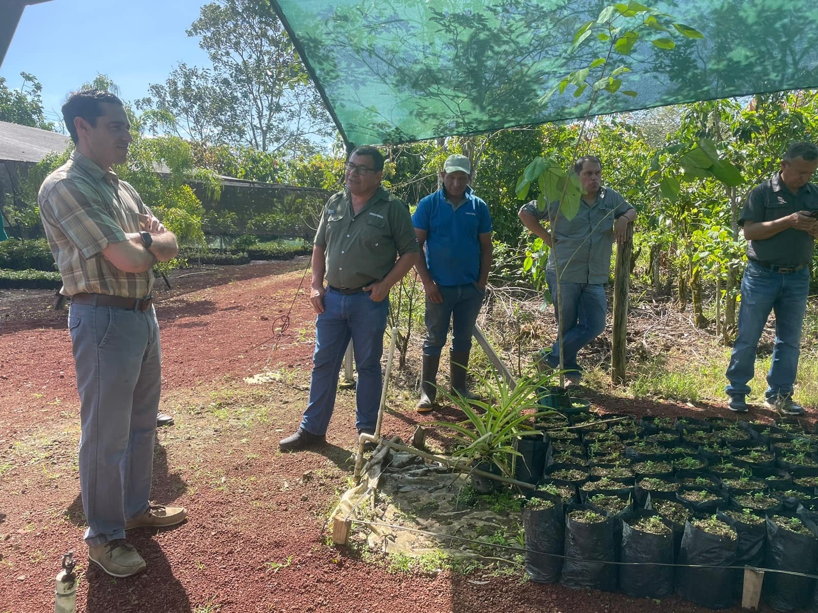 Sector Forestal Busca Proponer Una Legislaci N En Busca De Desarrollo Y