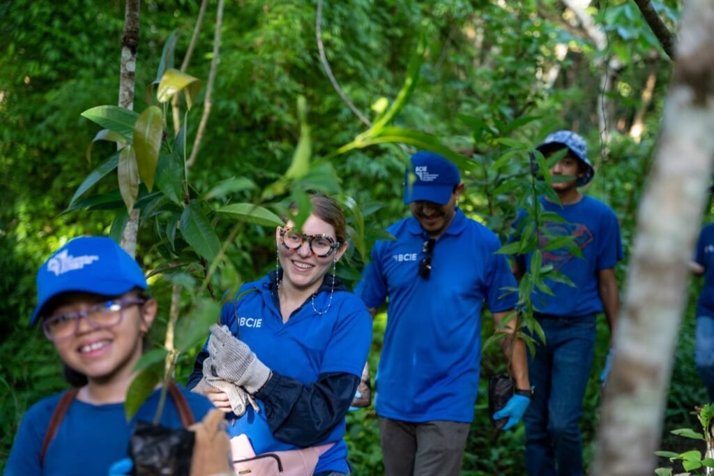 Voluntarios Del Bcie Realizan Jornada De Reforestaci N Por Un Panam