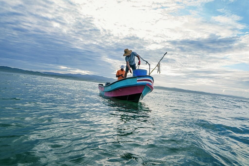 Fao Am Rica Latina Y El Caribe Traza El Camino Hacia Una Pesca Y