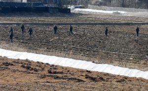 South Korean soldiers search for suspected North Korean leaflets on a field in the border city of Paju near the Demilitarized Zone dividing the two Koreas on January 13, 2016. South Korean soldiers on January 13 fired warning shots at a suspected North Korean drone that crossed the tense border, the defence ministry said. REPUBLIC OF KOREA OUT NO ARCHIVES RESTRICTED TO SUBSCRIPTION USE AFP PHOTO / YONHAP / AFP / YONHAP / YONHAP