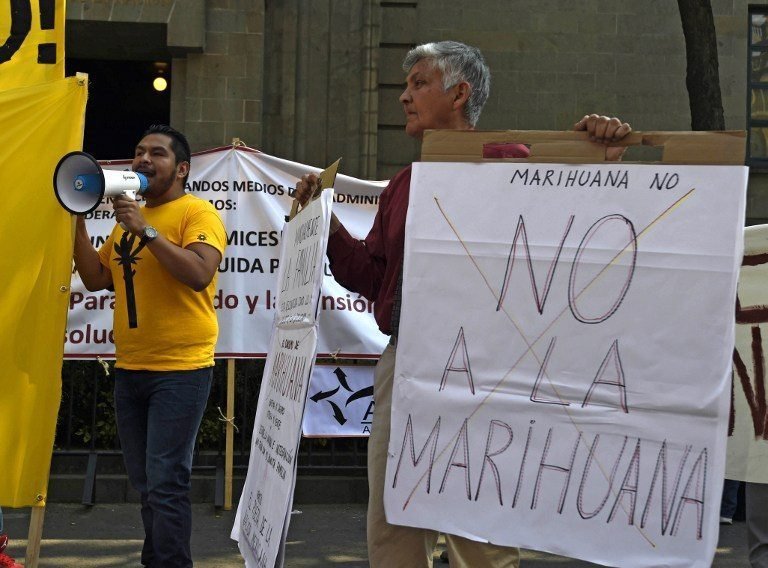 El 66% de los mexicanos rechaza la despenalización de la cannabis 