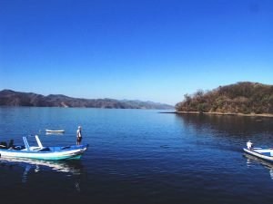  Estudiantes reciben beca para desarrollar estudios en biología y ecología