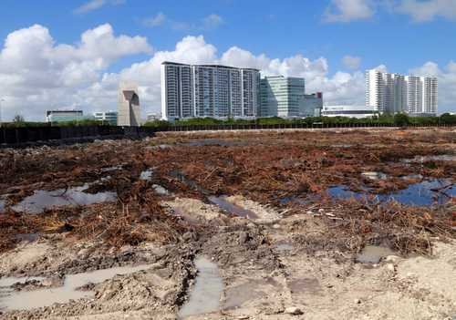 México destruye un manglar en Cancún para edificar complejo turístico