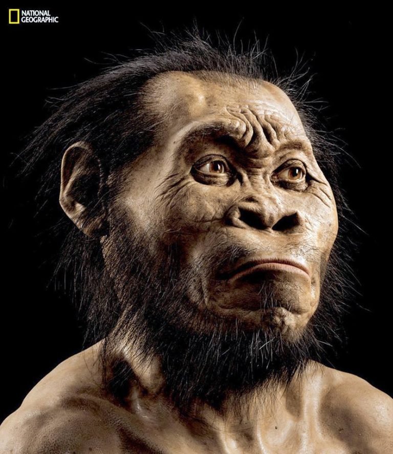 Conoce al Homo naledi, uno de nuestros primeros antepasados