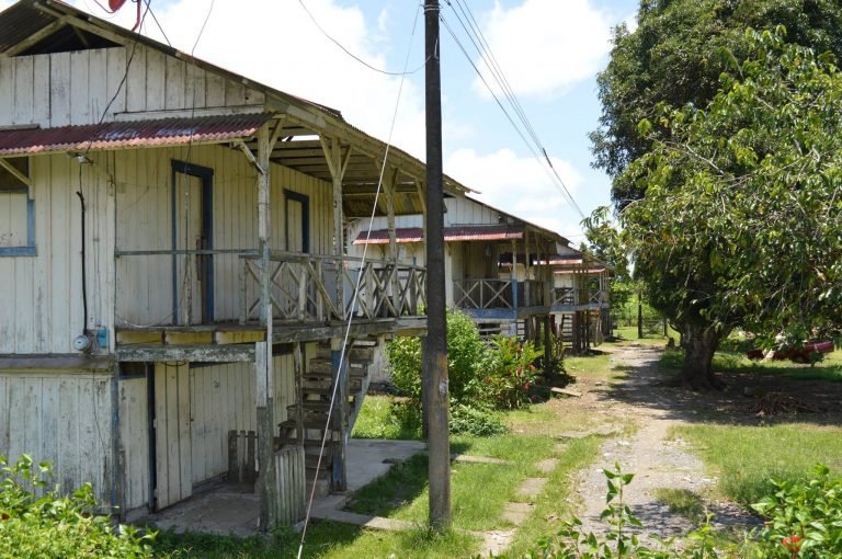 La sombra del cierre bananero en el sur: origen de la problemática actual de desalojos