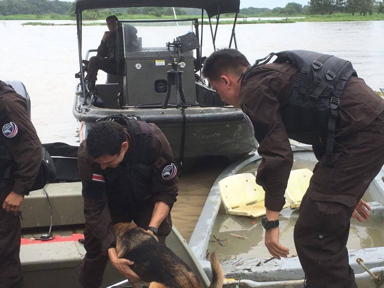 Mascotas también necesitan protección