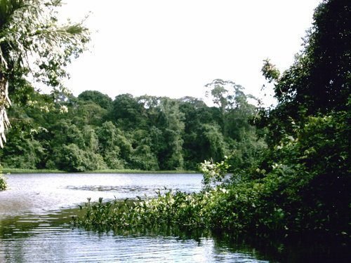 Refugio Nacional de Vida Silvestre Barra del Colorado celebra su  30 aniversario