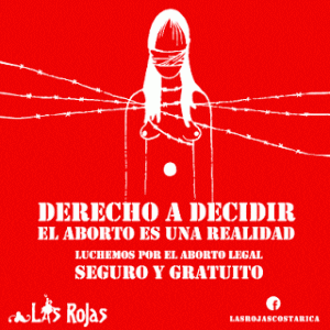 Romería 2016 dejó 28 detenidos y 84 dosis de droga decomisadas