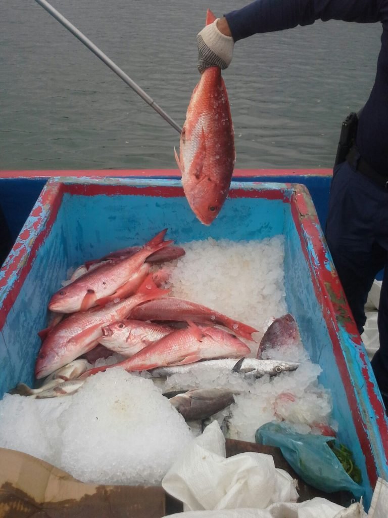 Guardacostas detienen a lancha con 322 kilos provenientes de pesca ilegal