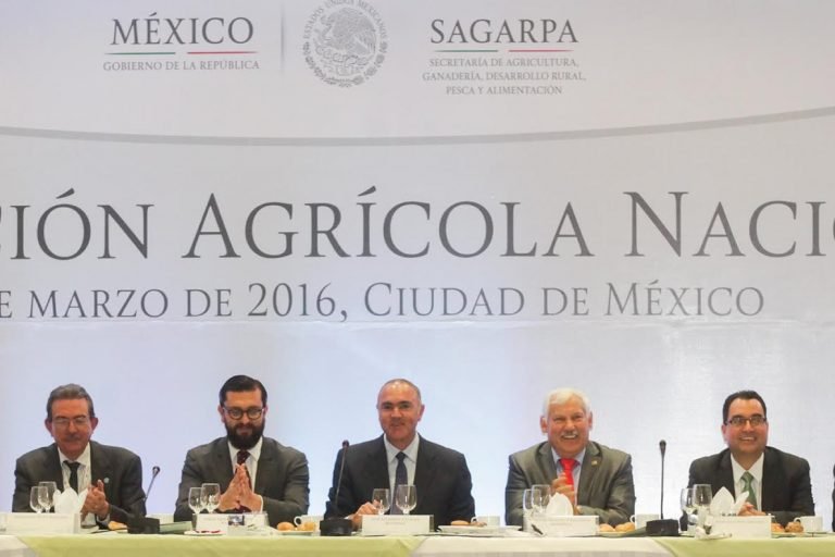 IICA: “El objetivo central es trabajar juntos por una visión del campo más productivo”