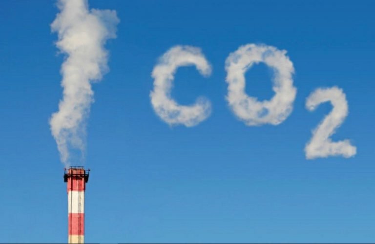 El mundo de la economía sin carbono