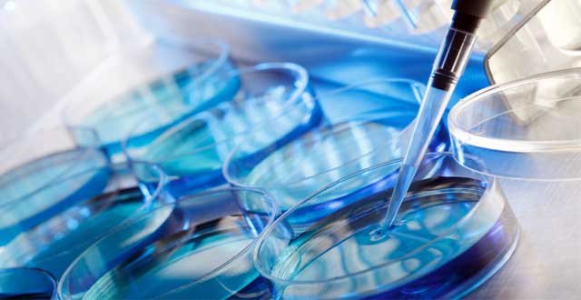 Costa Rica pagará 176 millones a familias que no pudieron aplicarse la FIV para evitar nuevo juicio