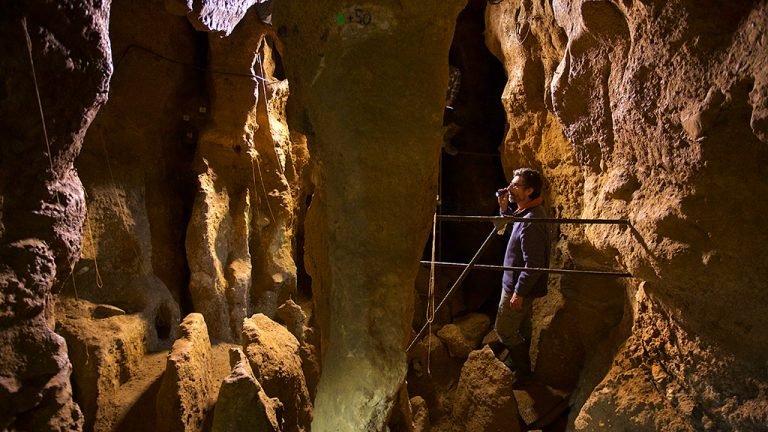 El polvo como máquina del tiempo: ADN de ancestros en la arena