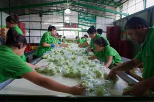 Banca para el Desarrollo tendrá ¢227.000 millones en créditos para PYMES durante 2017