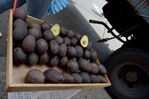 Costa Rica acogerá lo resuelto por la OMC sobre el aguacate Hass, afirma Casa Presidencial