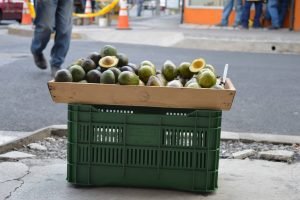 CNP califica de “normal” incremento en precio de aguacate de hasta 90%