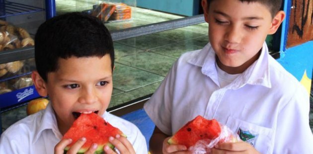 Colegio de Profesionales en Nutrición felicita al MEP por implementación de nuevo menú escolar