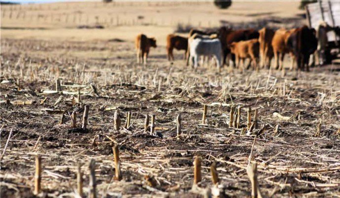 FAO apoyará a Bolivia en la obtención de recursos del Fondo Verde para proyectos de agua