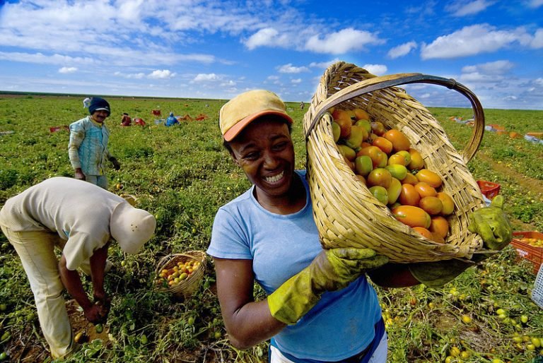 Países BRICS bien posicionados para liderar erradicación del hambre y pobreza