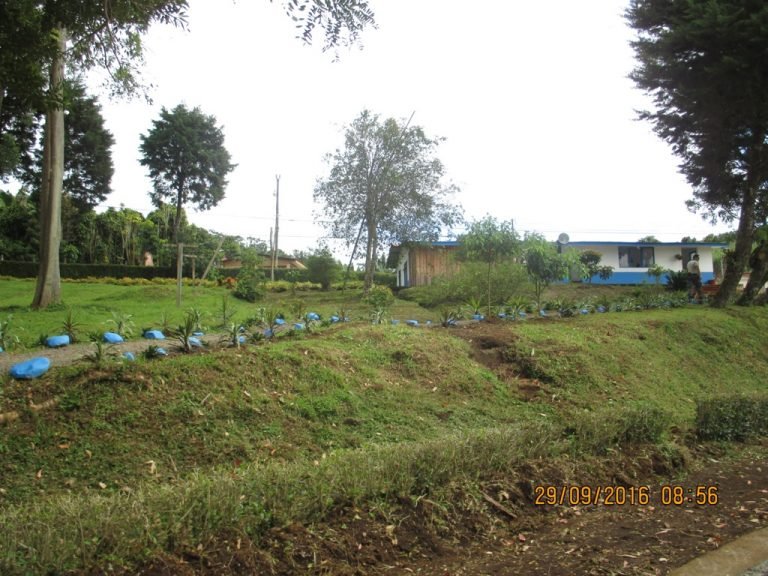 Vecinos y líderes comunales de San Ramón conocieron cómo funciona la finca La Paz