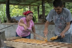 Vecinos de Osa desarrollan proyecto gastronómico para incentivar turismo