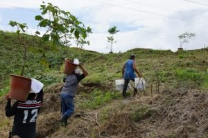 Privados de libertad sembrarán árboles para recuperar los talados en construcción de nuevas cárceles