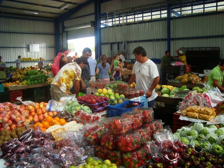 Hortalizas aumentaron de precio hasta 70% en diciembre, revela CENADA