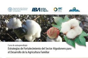 FAO y Brasil ofrecen curso gratuito sobre estrategias de fortalecimiento del sector algodonero
