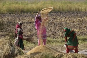 FAO señala el camino para que sectores agrícolas contribuyan a la adaptación y mitigación frente al cambio climático