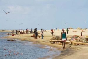 Pesca en zonas áridas de África subsahariana permite luchar contra el hambre