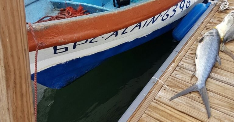 Guardacostas solicitan a pescadores no promover pesca ilegal entre turistas europeos