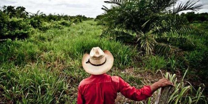 Defensoría pide a Gobierno recuperar territorio indígena