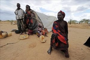 FAO y PMA alertan sobre ignorar el riesgo de hambrunas