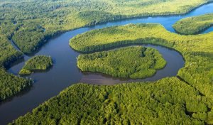 Costa Rica es referente mundial en restauración de humedales