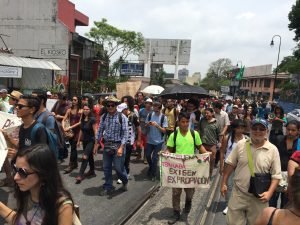 Ambientalistas y personas afectadas protestan contra expansión de plantaciones de piña
