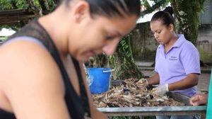 FAO e INFOPESCA analizan papel de la pesca y acuicultura en las políticas de seguridad alimentaria