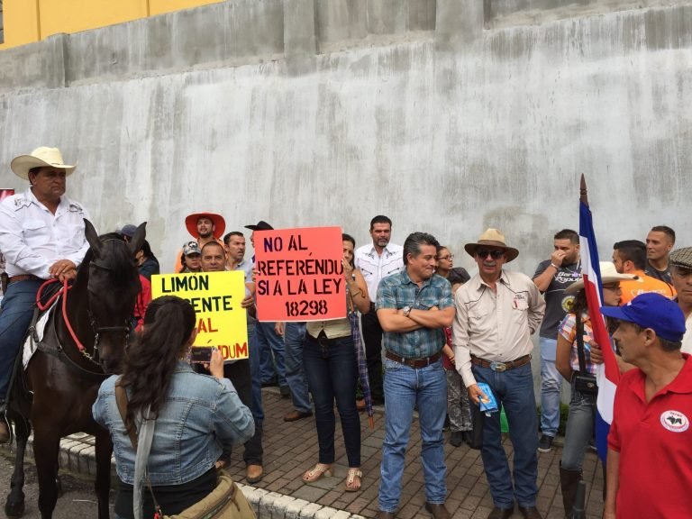 Sector taurino anuncia manifestaciones si no se aprueba Ley contra el  Maltrato Animal