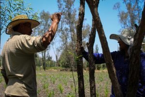 El Municipal Grecia presentó a sus nuevos refuerzos