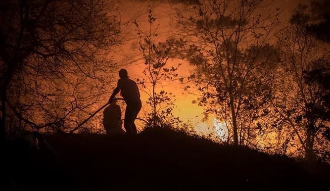 Incendios forestales continúan dañando áreas silvestres protegidas