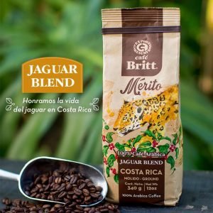 UNA y Café Britt crean alianza  para conservación del jaguar