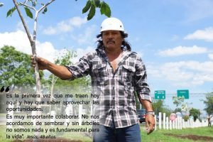 Privados de libertad cultivan árboles para sembrarlos en Parque La Sabana
