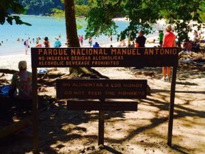 La negligencia administrativa es la que daña al Parque Nacional Manuel Antonio, señala Cámara de Turismo de Quepos