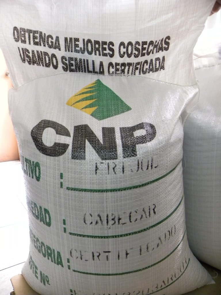 CNP aumentó las ventas de semilla certificada de frijol