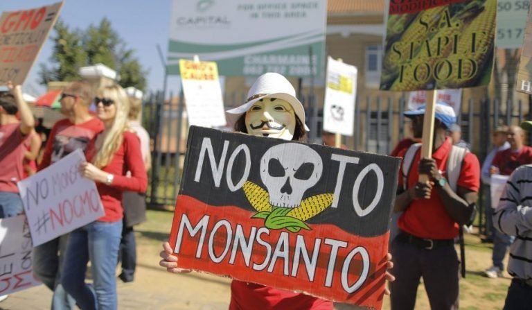 Bayer confirma oferta para comprar la polémica Monsanto