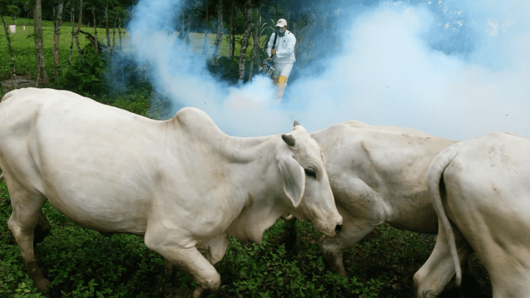 “Crédito en Marcha” financió 64 organizaciones agropecuarias afectadas por la pandemia