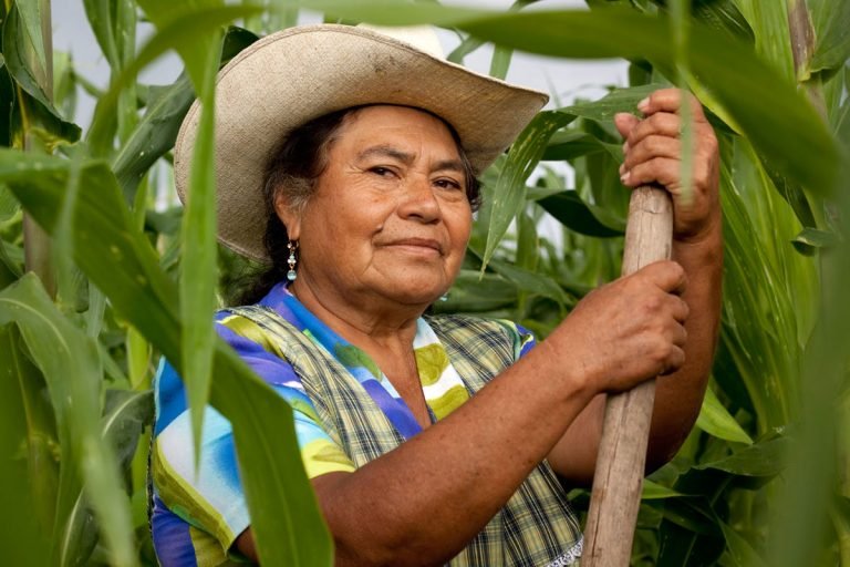 Foro de mujeres indígenas busca combatir la inseguridad alimentaria y la pobreza