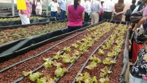 Personas con discapacidad de Cirrí de Naranjo cuentan con proyecto productivo para desarrollarse