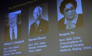 Nobel de Medicina al tratamiento de enfermedades parasitarias