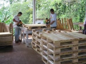 SFE inspecciona embalajes de madera para impedir transporte de plagas