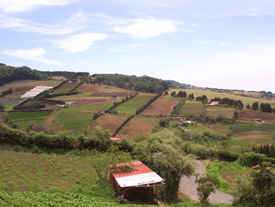 PLN denuncia que Ministerio de Agricultura quiere hacer desaparecer Coopeagrimar